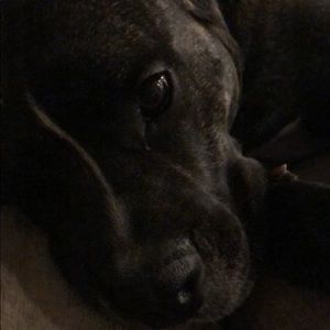 Meet your Posher, Serena